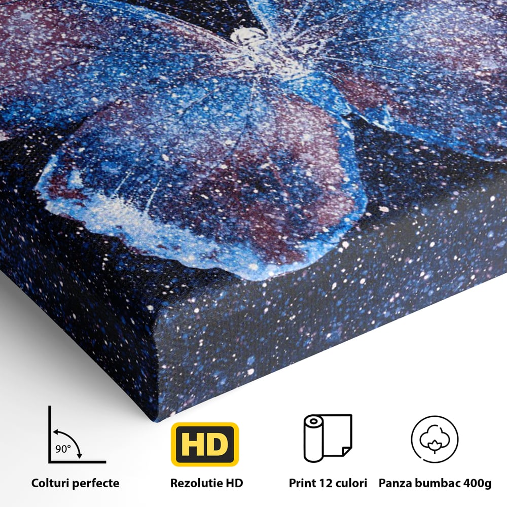 Detaliu al suprafetei: tablou canvas cu fluture cosmic si stele, fara rama, pe sasiu de lemn